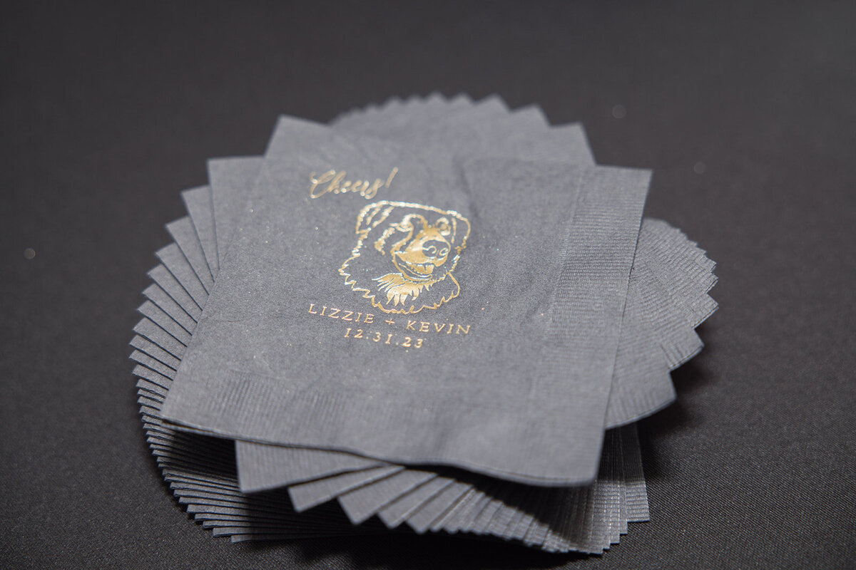 New-Years-Cocktail-Napkin-Pet-Portrait