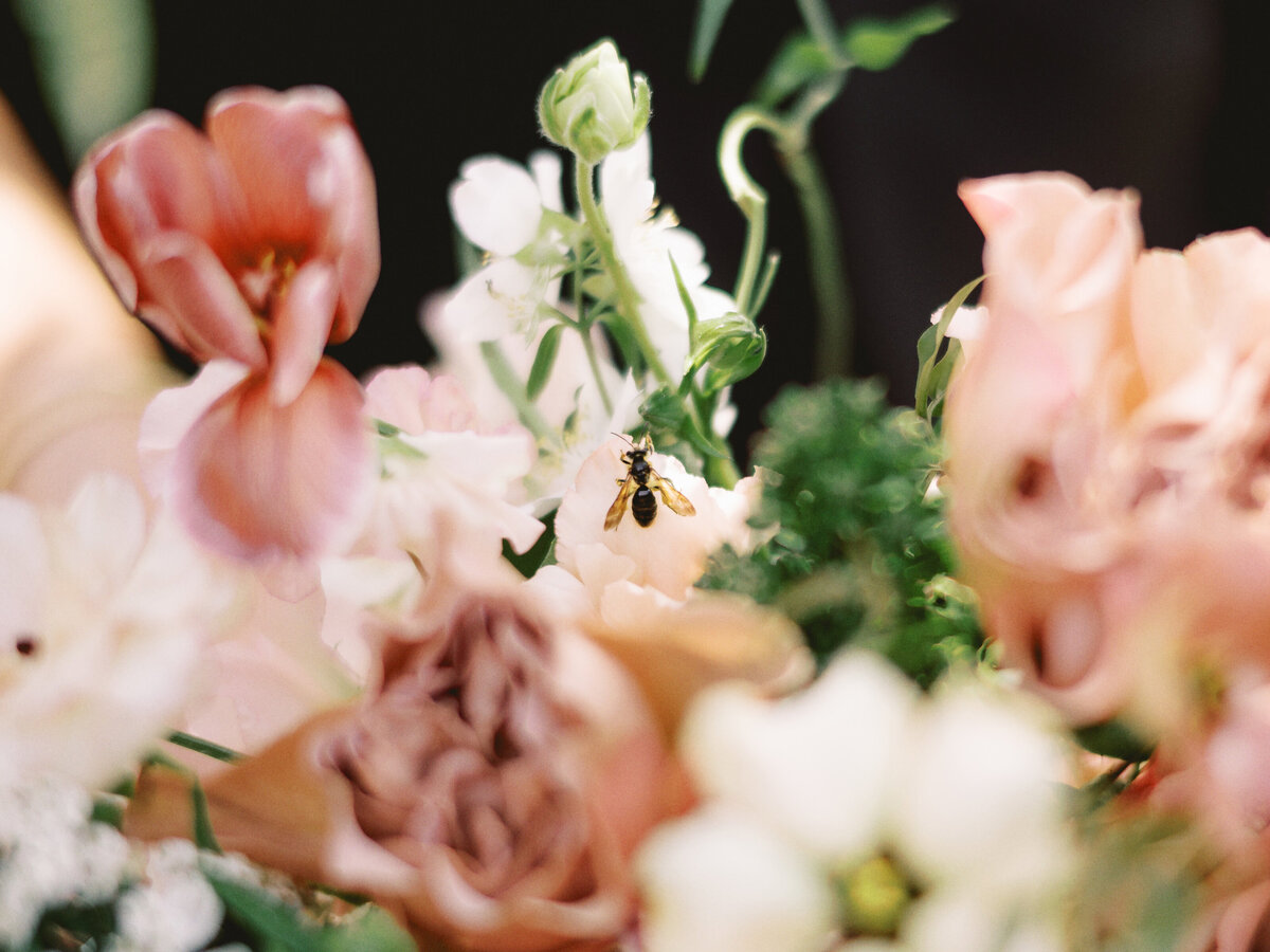 CarolineGavin_Sneaks_MarissaBellePhotography-49