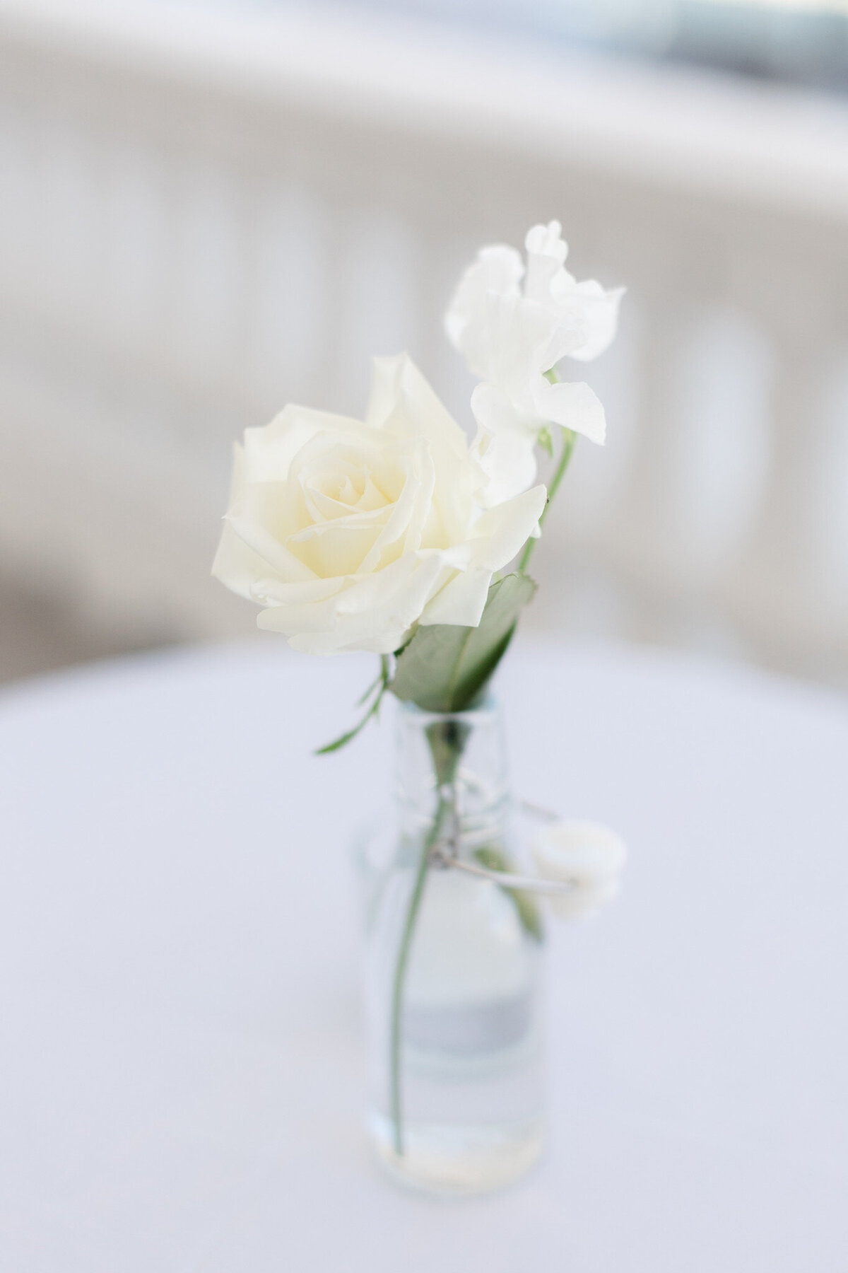 World Equestrian Center, Ocala, FL Wedding