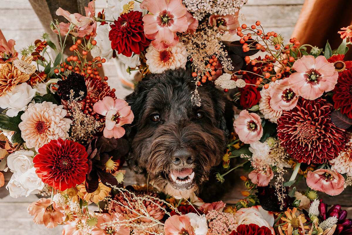 ROYLE FOREST WEDDING - LARA & FINN  - MIRL & CO-46_websize