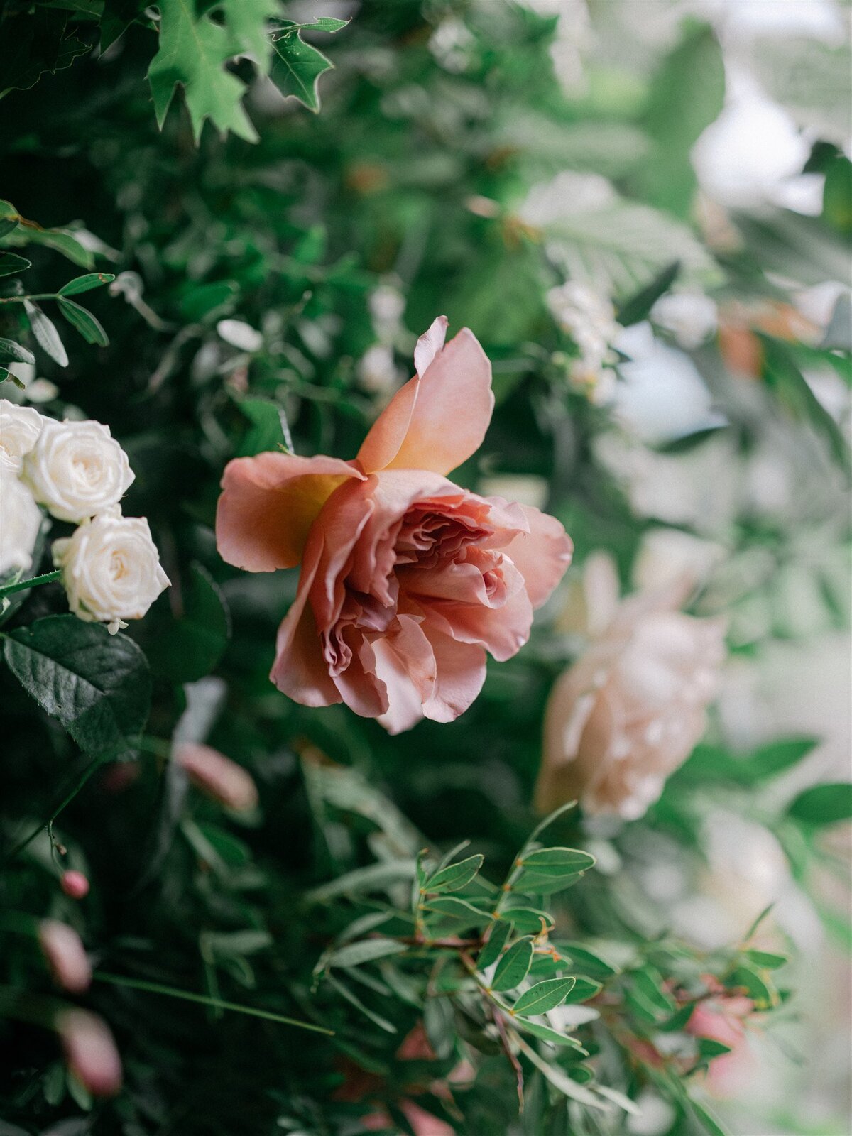 MadelineGeorge_Ceremony_0297_Wizz & Wild Wedding Florals