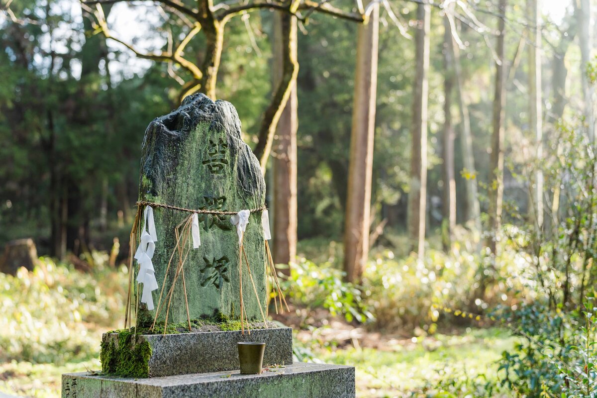 Photoshoot-in-Japan-Fushimi-Inari-Taisha (18)