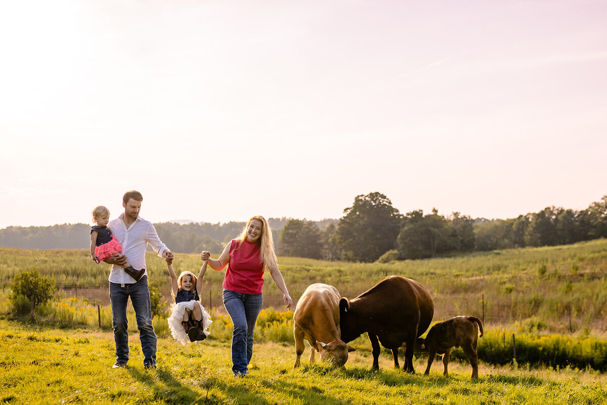 Family photos during sunset on a farm surrounded by their cows