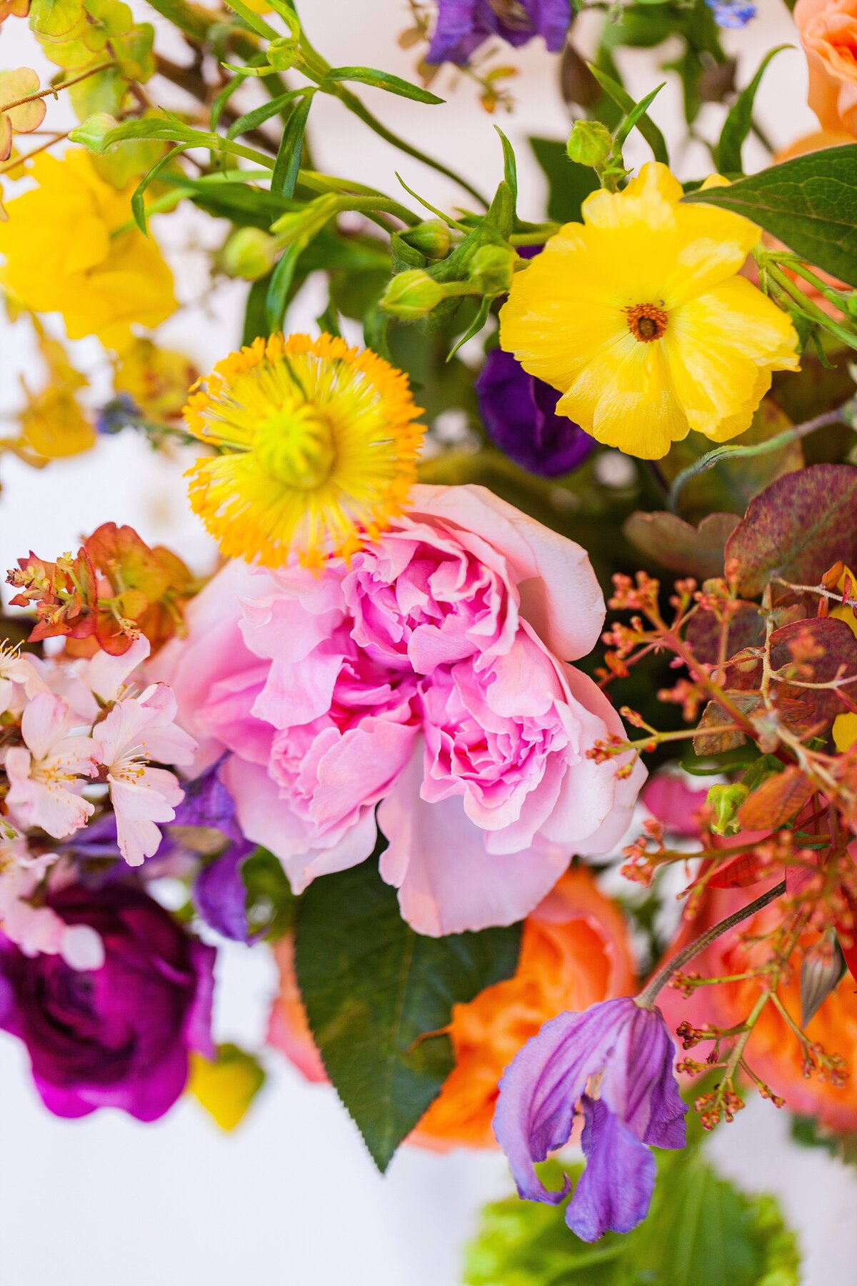 Miriam Faith Florals - Seasonal Edit_0072
