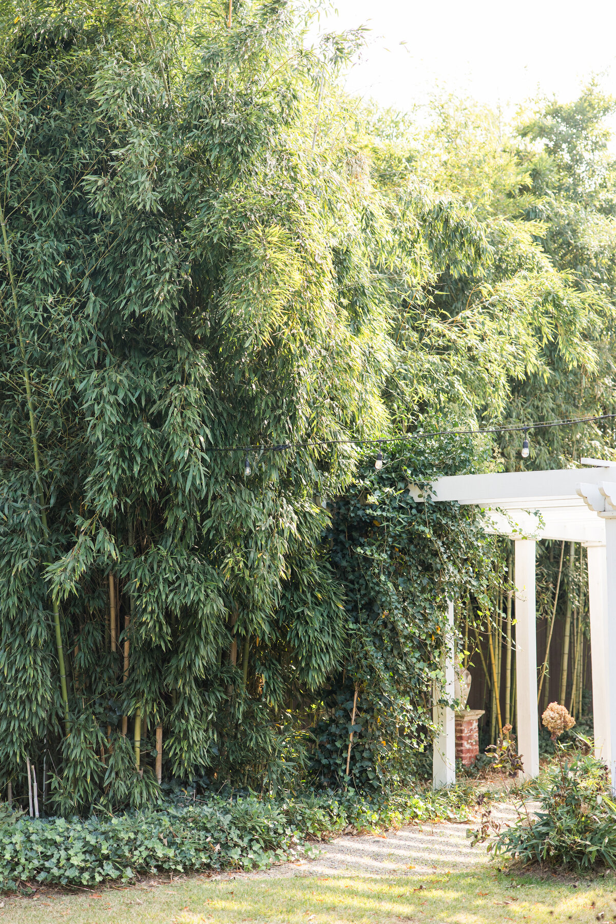 111925_GARDENVENUE_WEBSITEPHOTOS-90