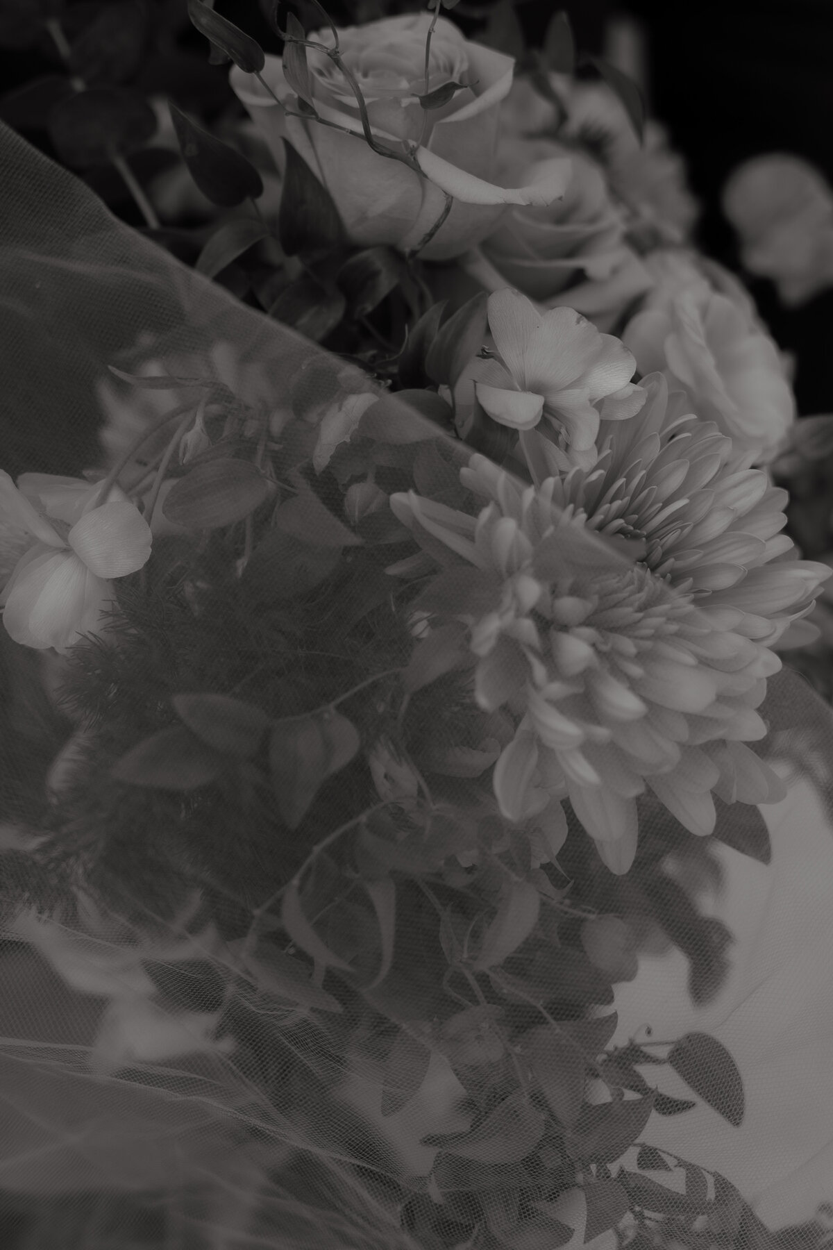 Adventure Elopement Packages