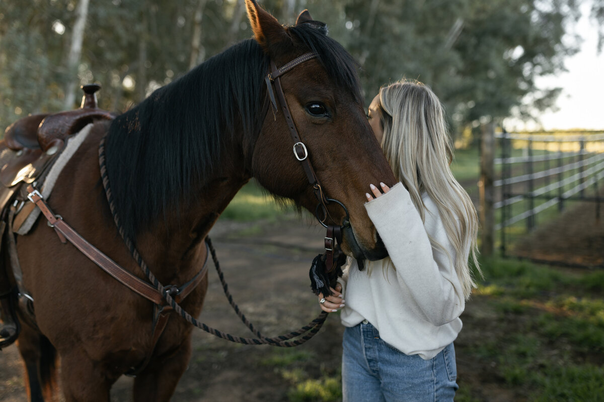 Table-Horses-119