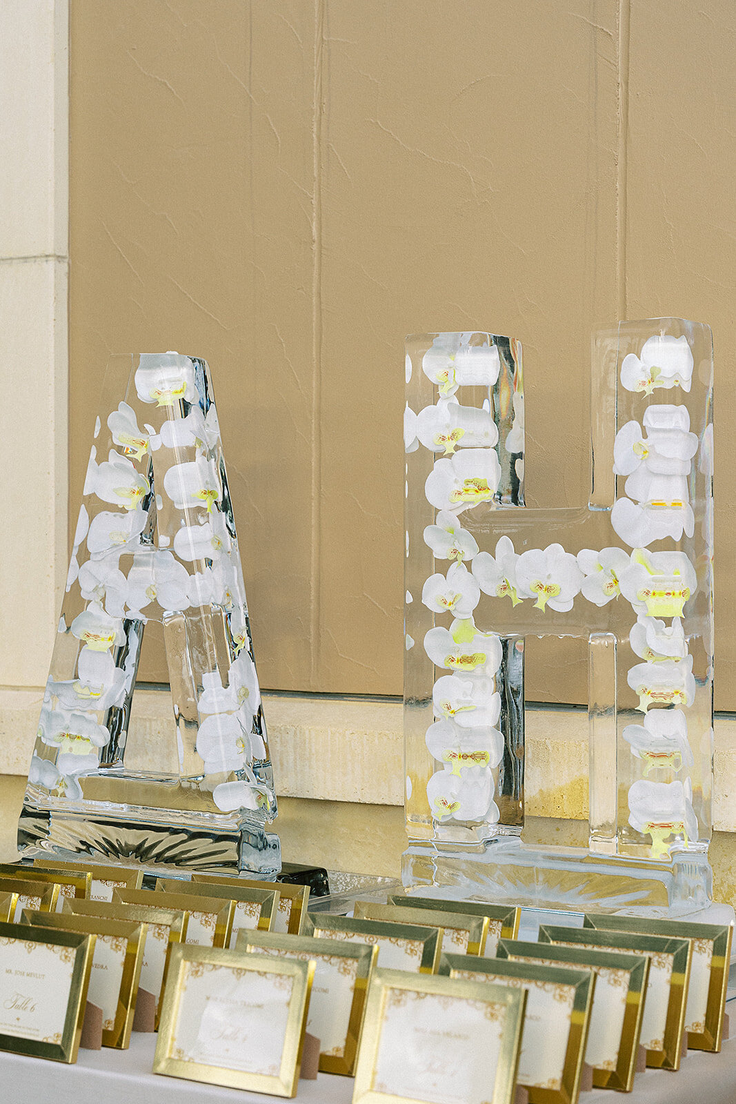 Haley & Augusto Wedding 022