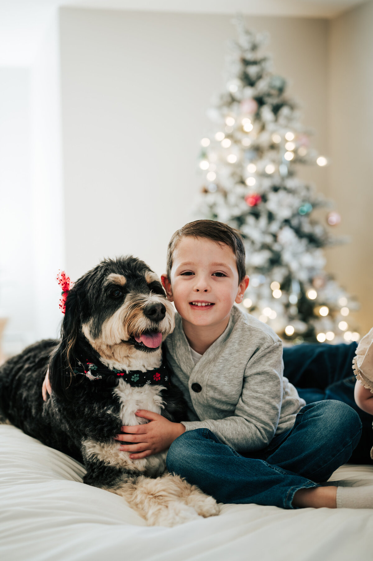 DSC_4730-Enhanced-NR