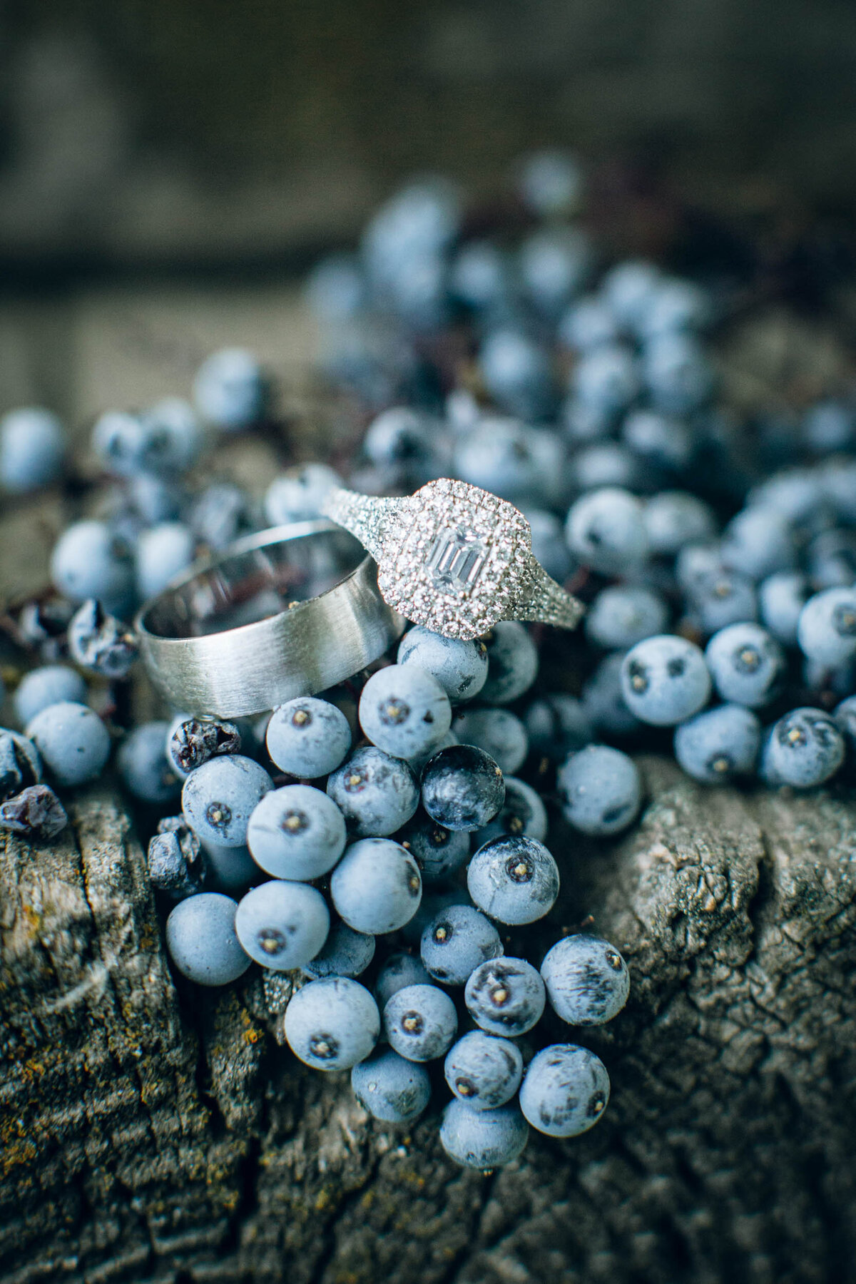 elopement-wedding-photographers-portland-oregon-10