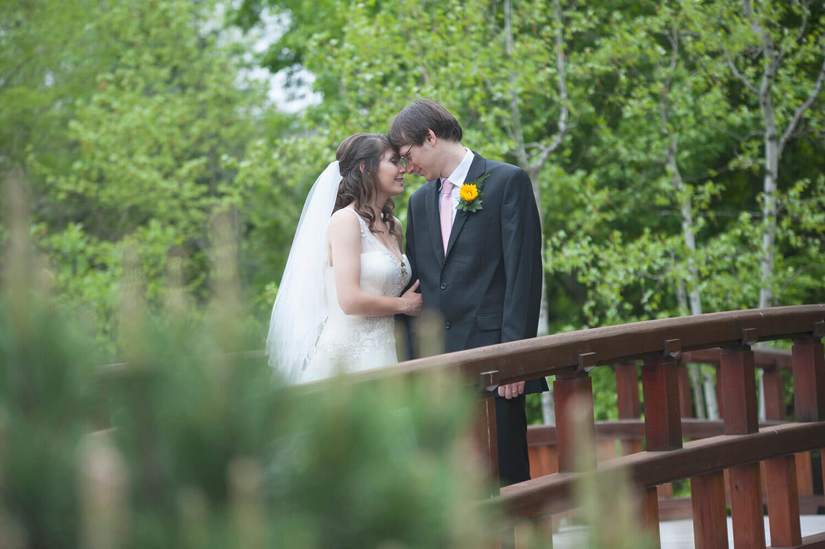 Anderson Japanese Gardens through the brush on the bridge Rockford Wedding Photography