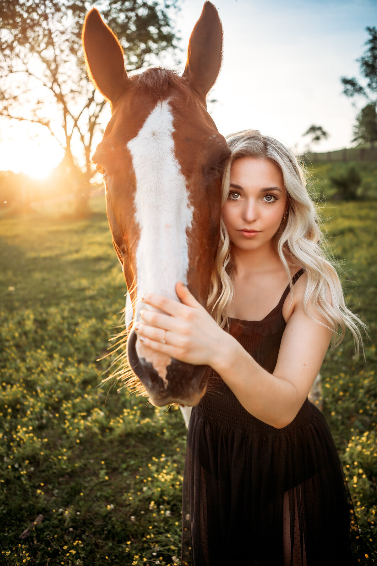untitledhorse1