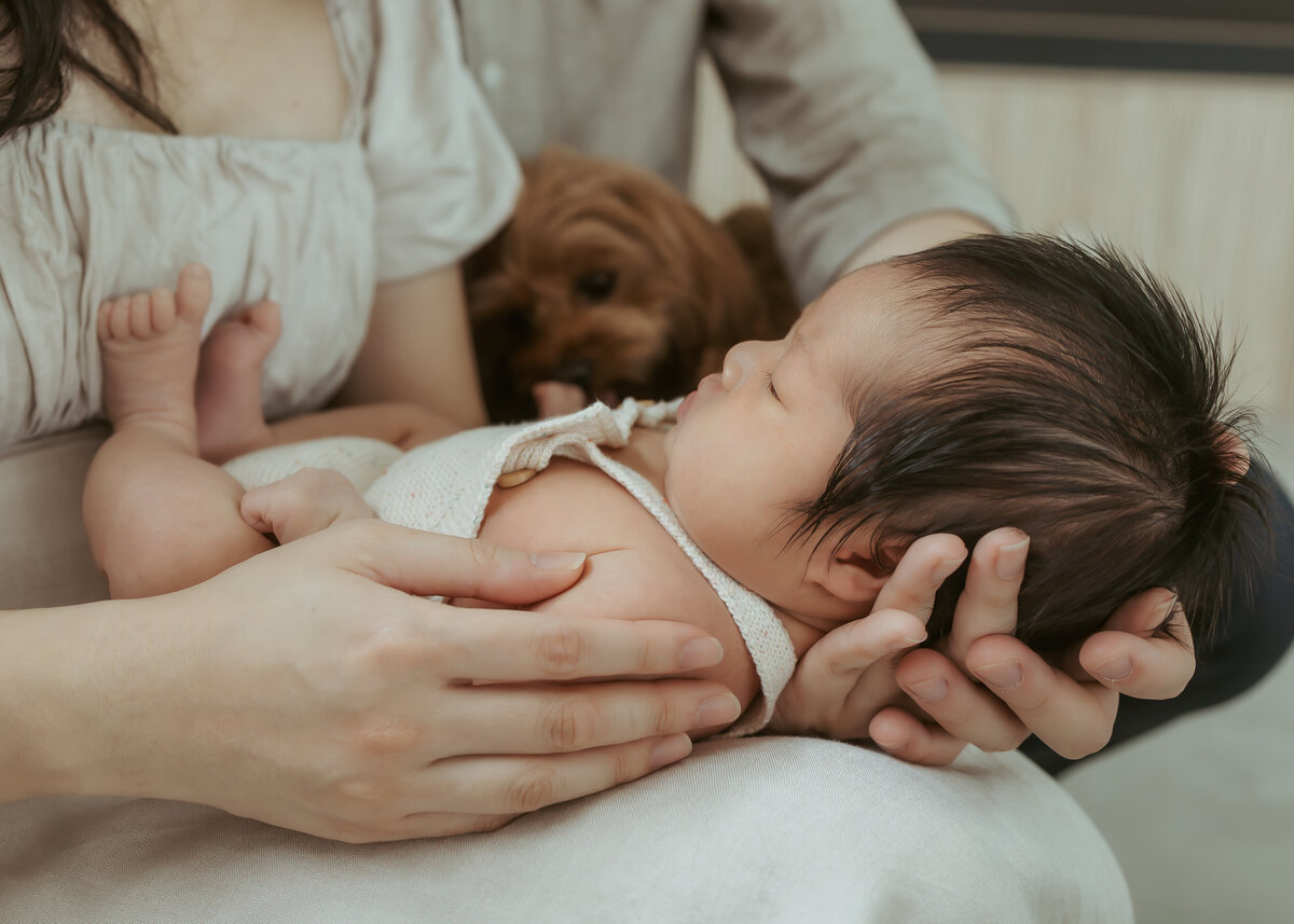Sydney-Newborn-Photographer-15