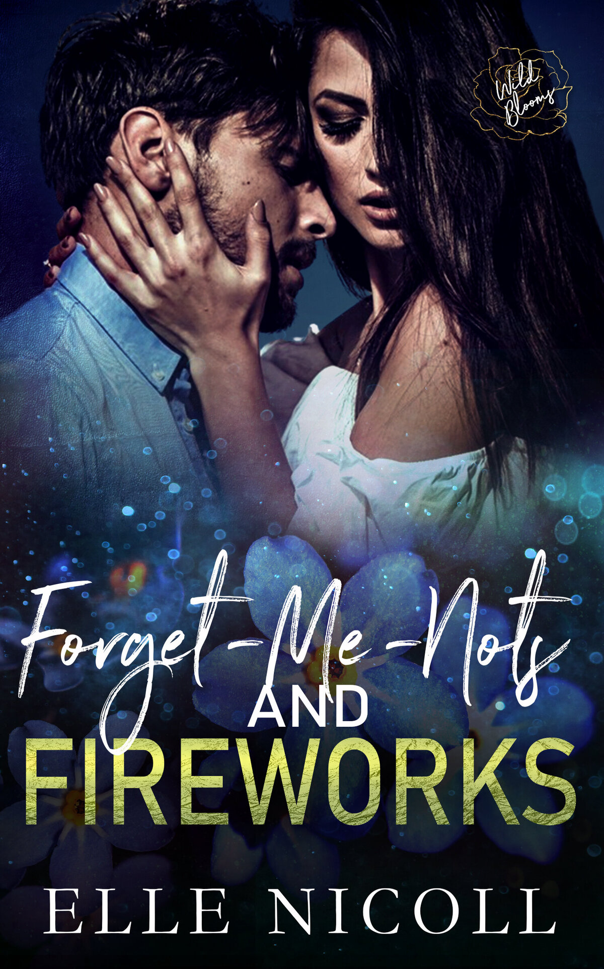 Forget-Me-Nots and Fireworks eBook