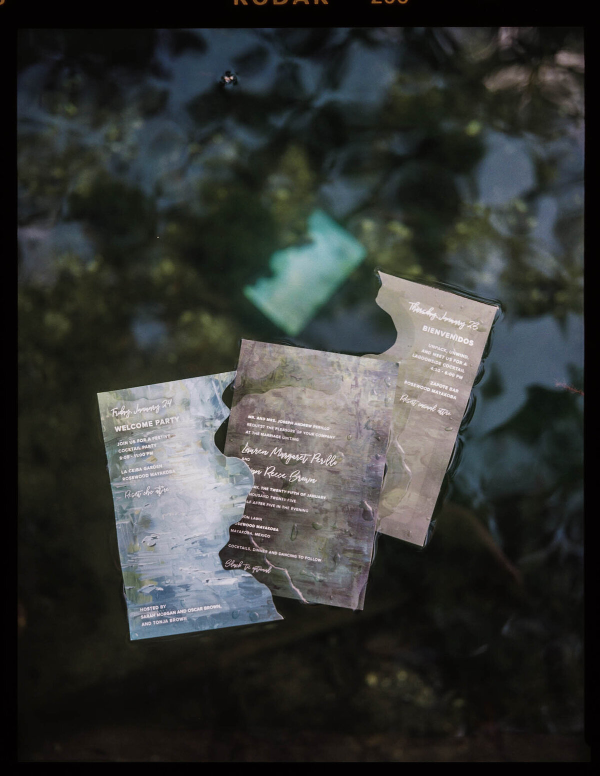 image28