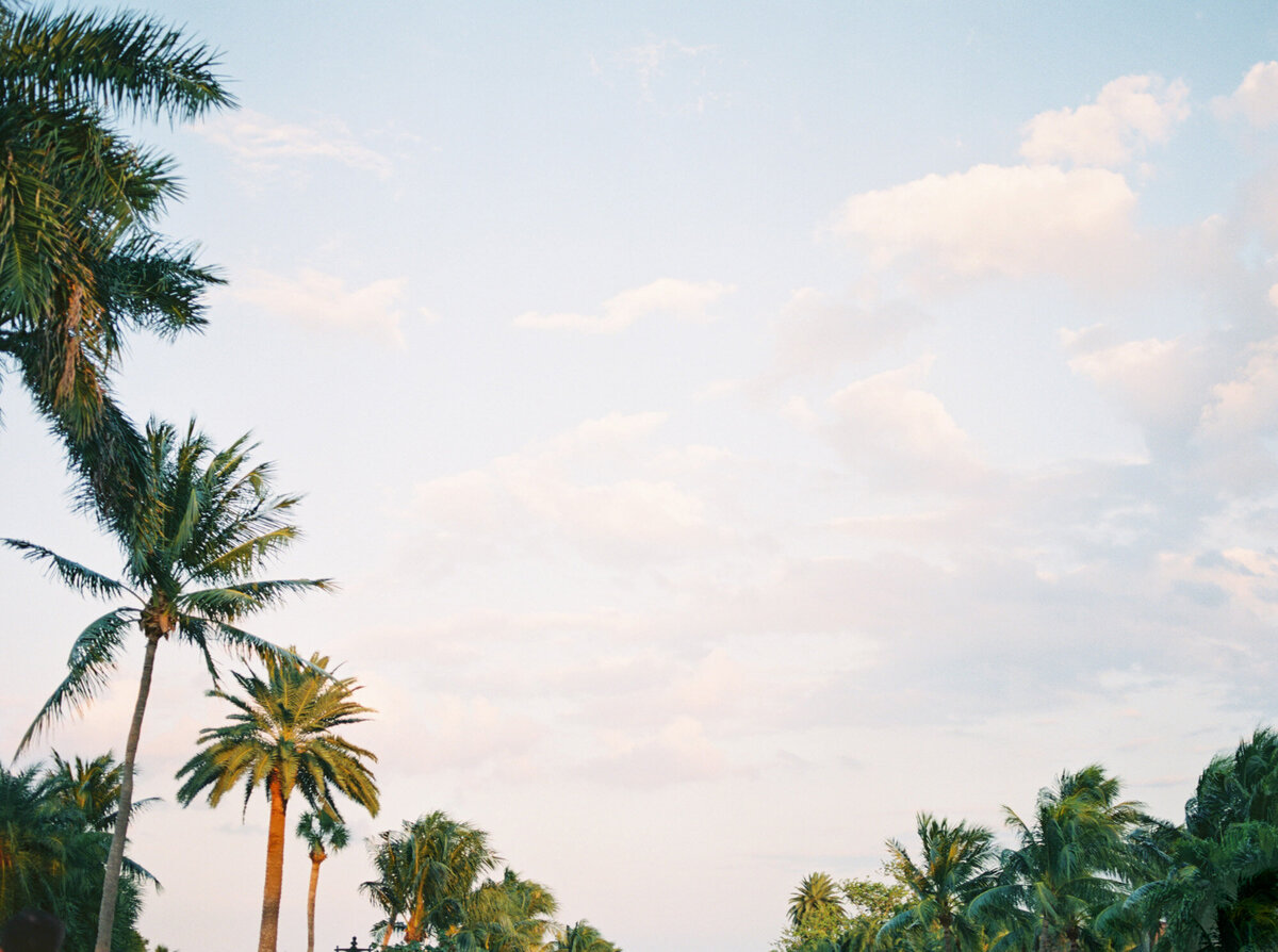 Sydney and Brett Elopement_Shauna and Jordon Photography181