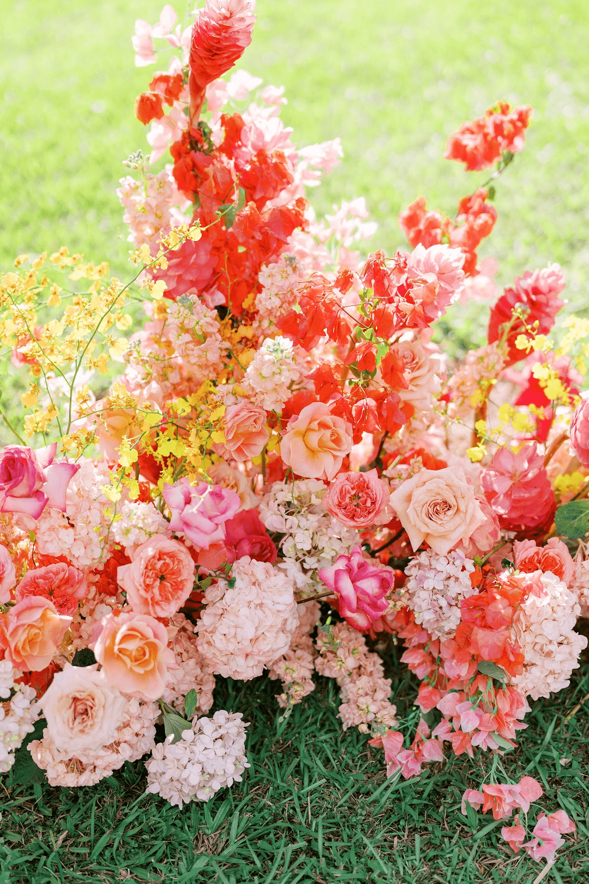 Screenshot 2025-11-25 at 8.42.43 AM