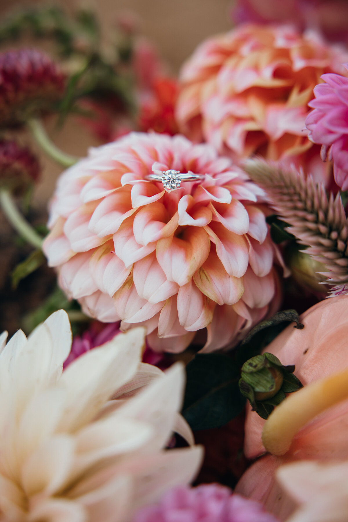 Maui Wedding Photographer captures wedding ring on pink flower