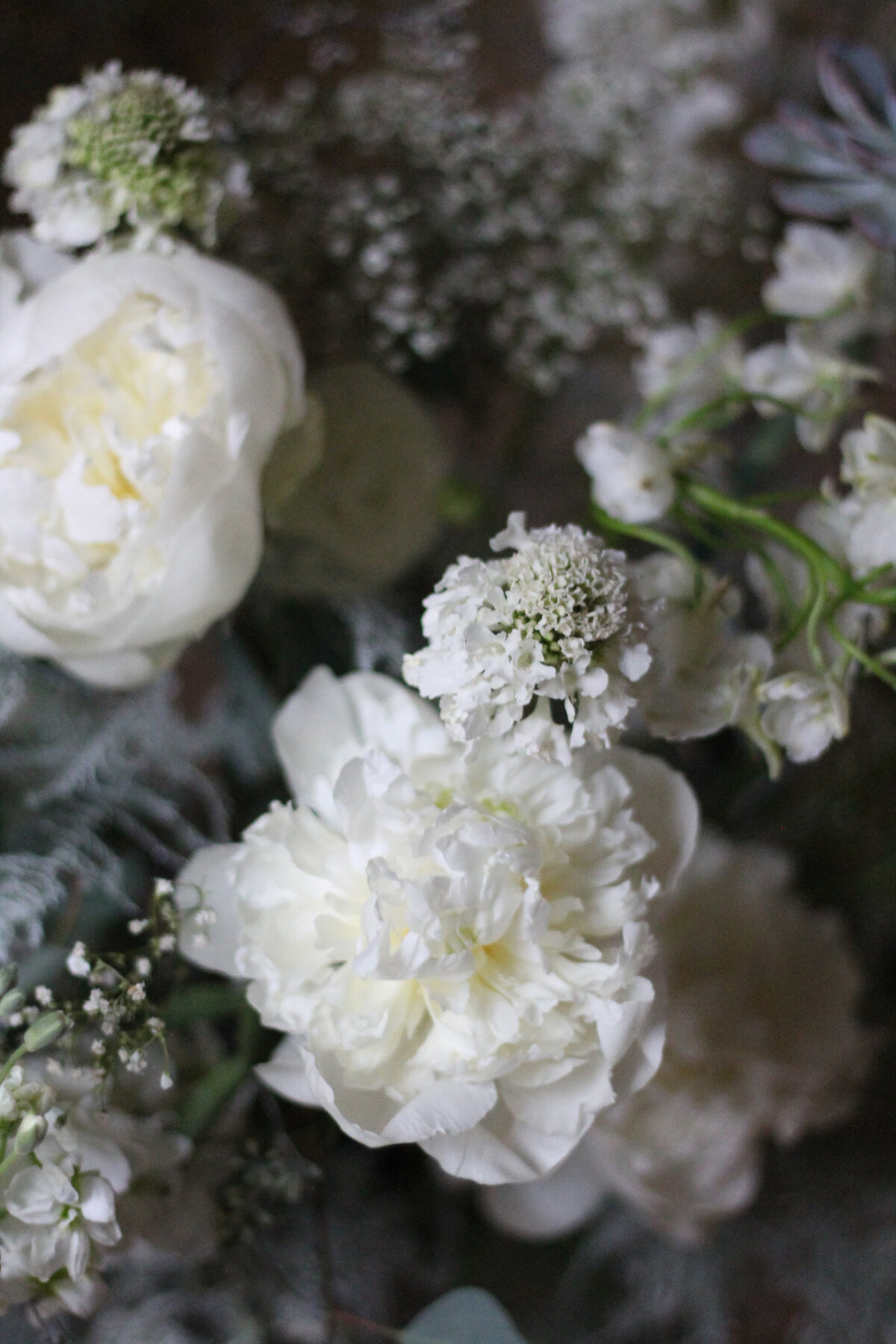 Detail of white peonies and scabiosa in a wedding welcome arrangement