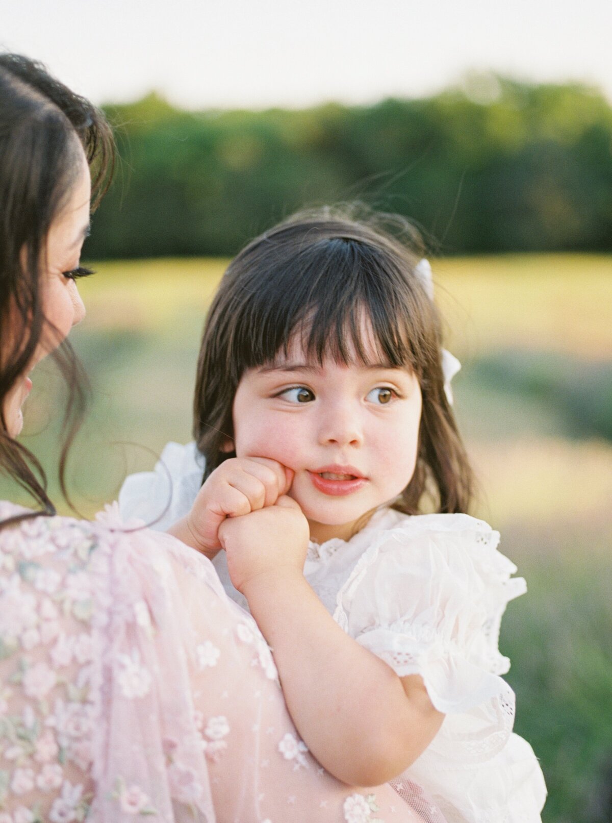 lavender field family photographer northern virginia