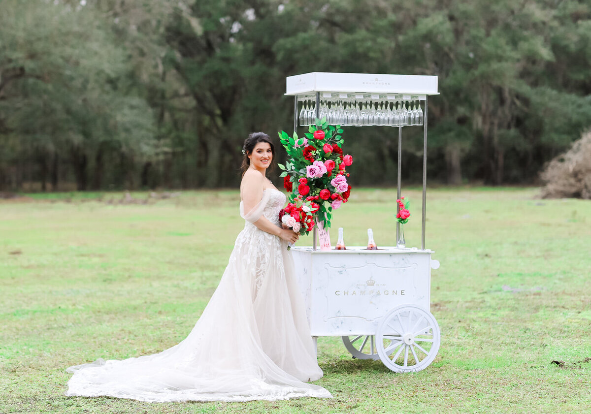 Tampa Wedding Photography Studio | Noemi Olah02