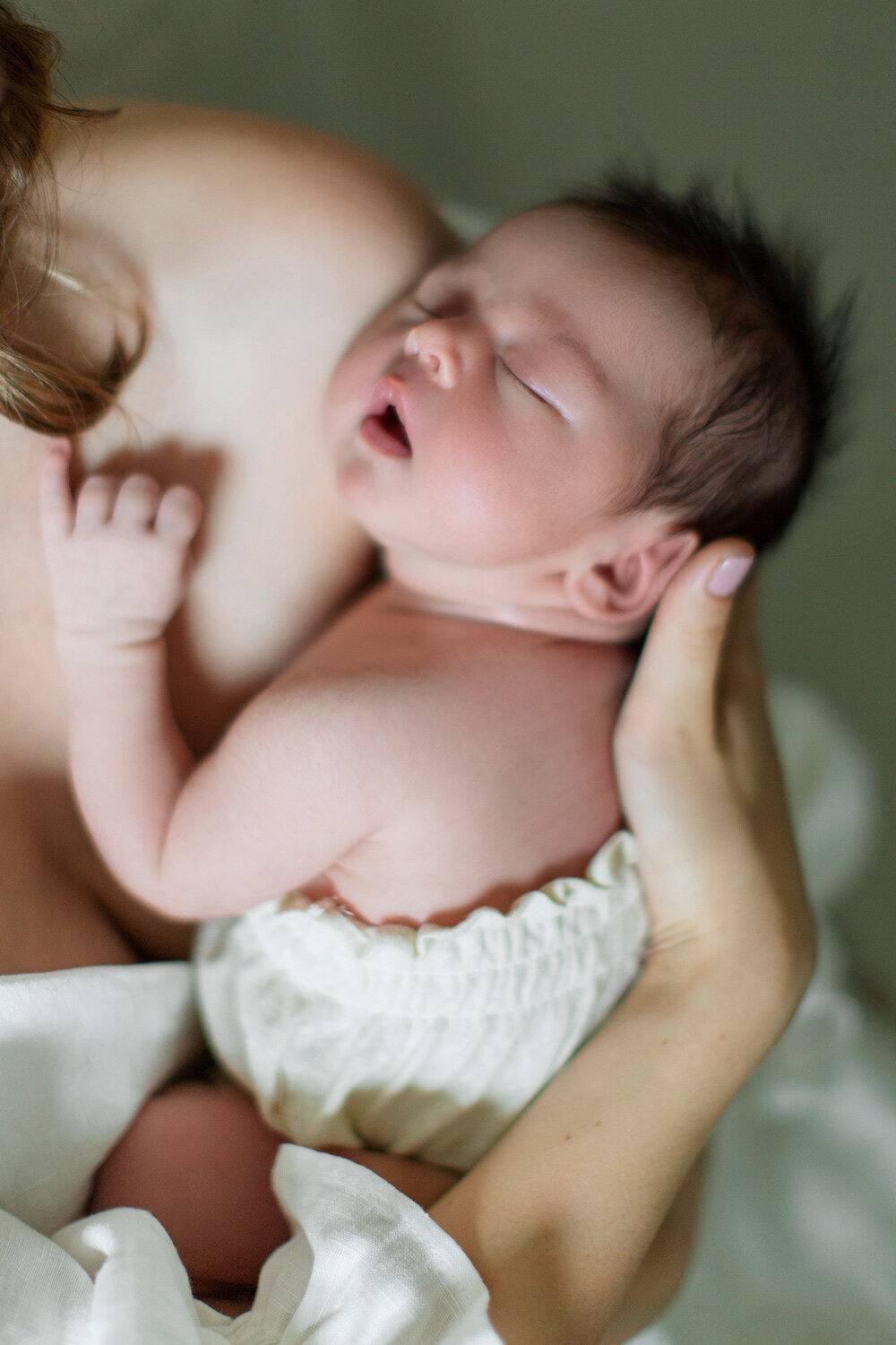 Newborn photography timeless cronulla