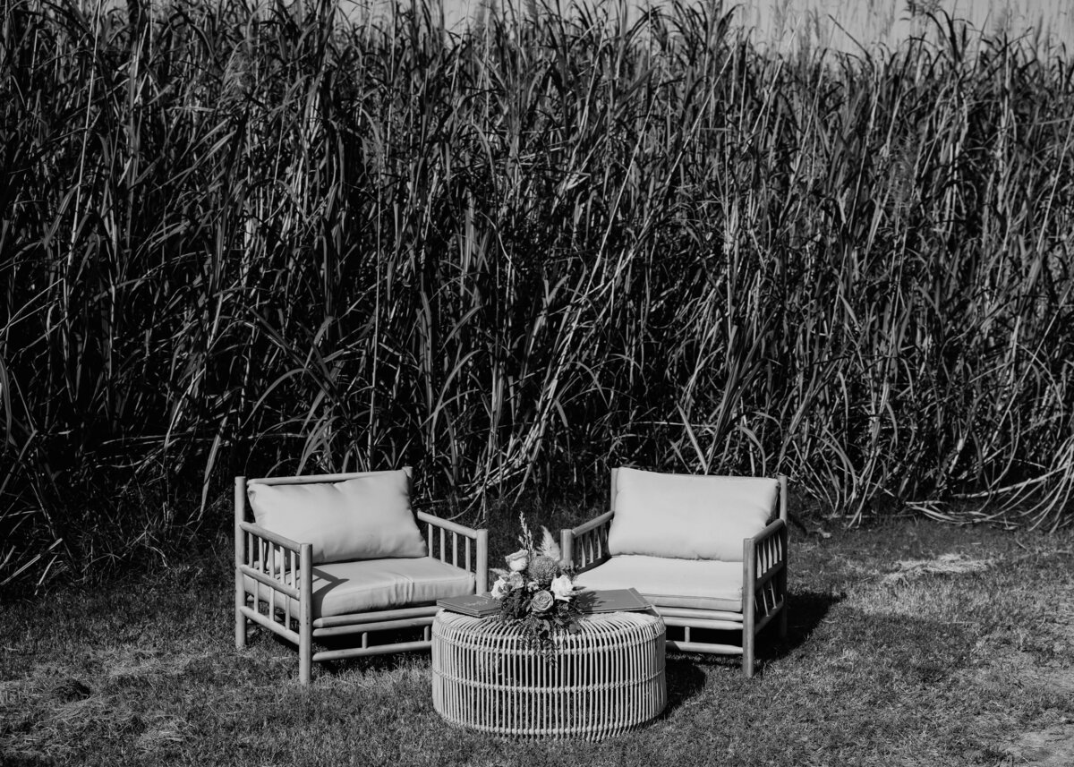 portdouglasweddingphoto-50