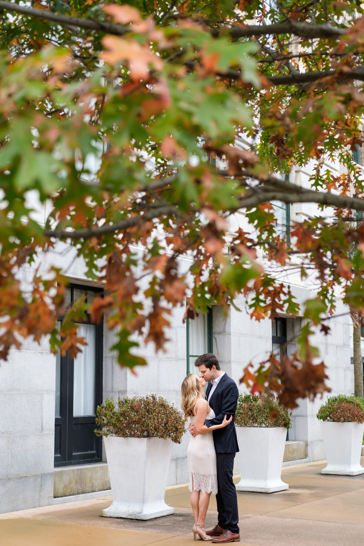 Engaged couple kissing under the autumn leaves in Downtown Tampa, FL