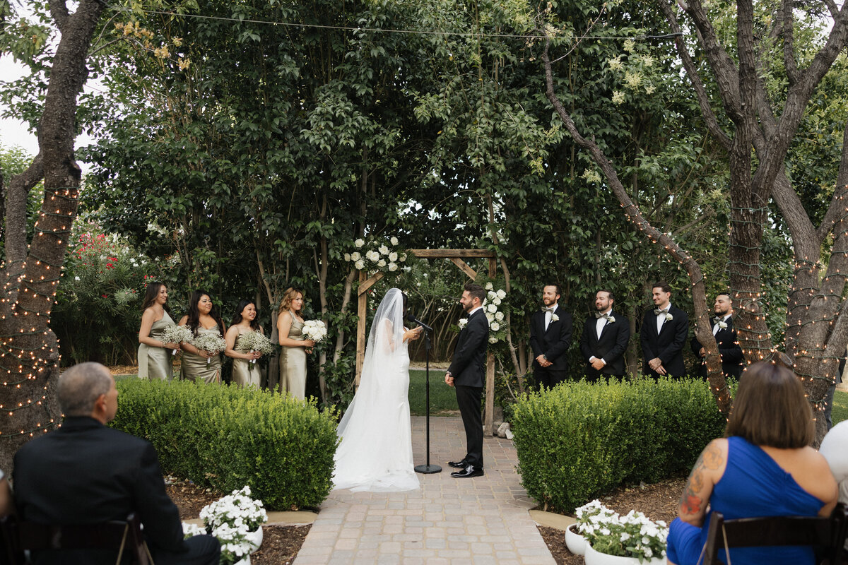 las vegas wedding photographer - cascade and canyon photography-25