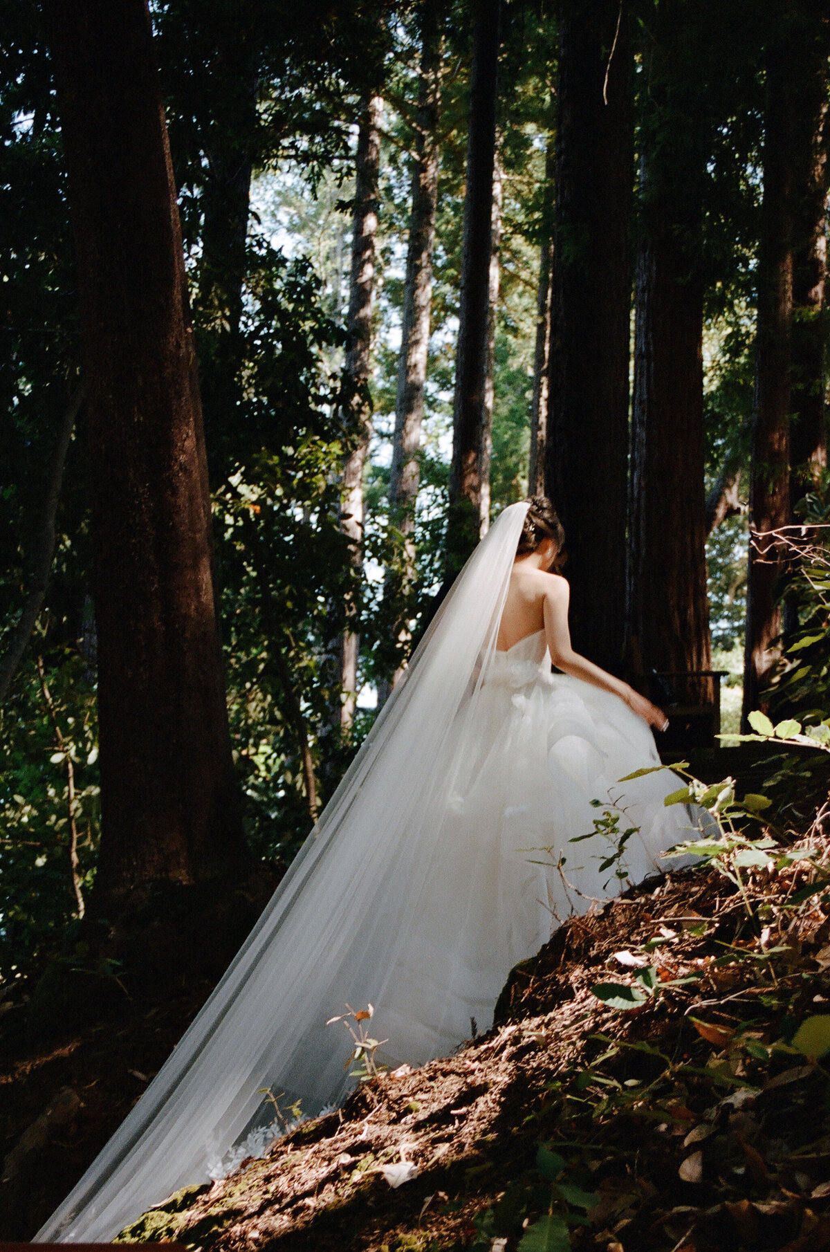 Yena_Rewon_Wedding_Mo_Davis_Photography 241591