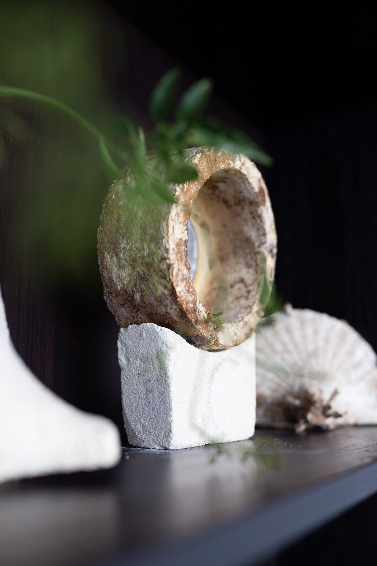 Branding Shoot_Fungi Solutions_06