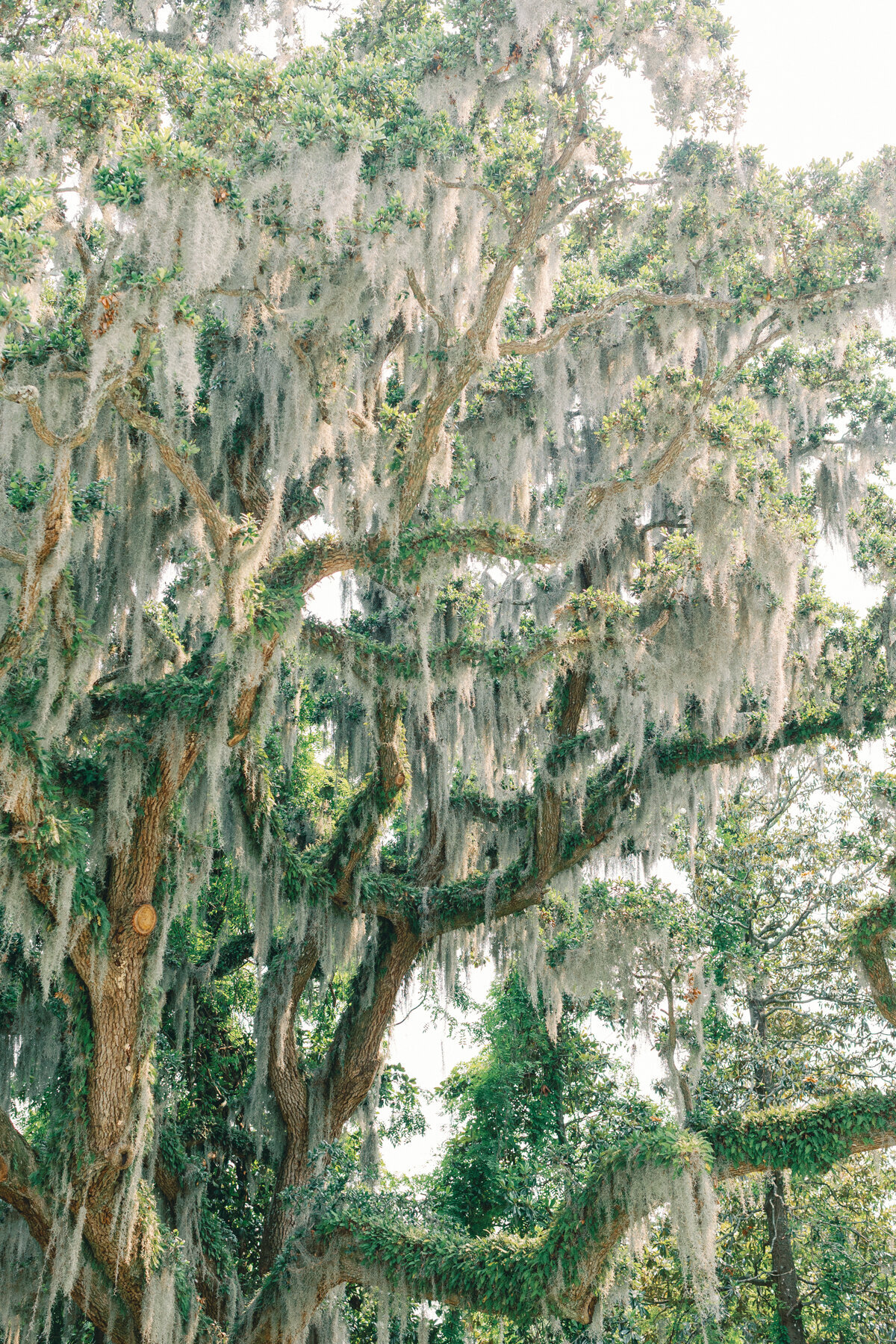 wilmington-wedding-23