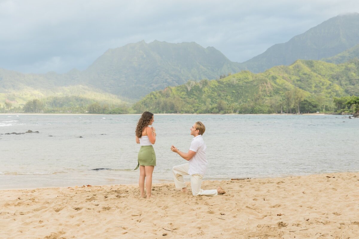 Kauai Couples Portraits  6950