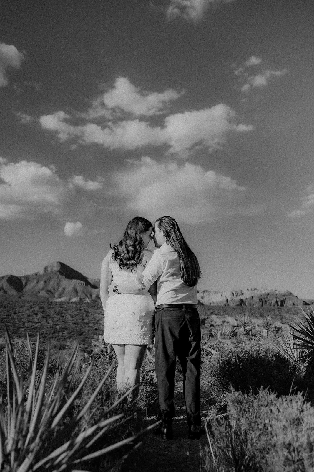 The back of an engaged couple looking off into the Nevada mountains