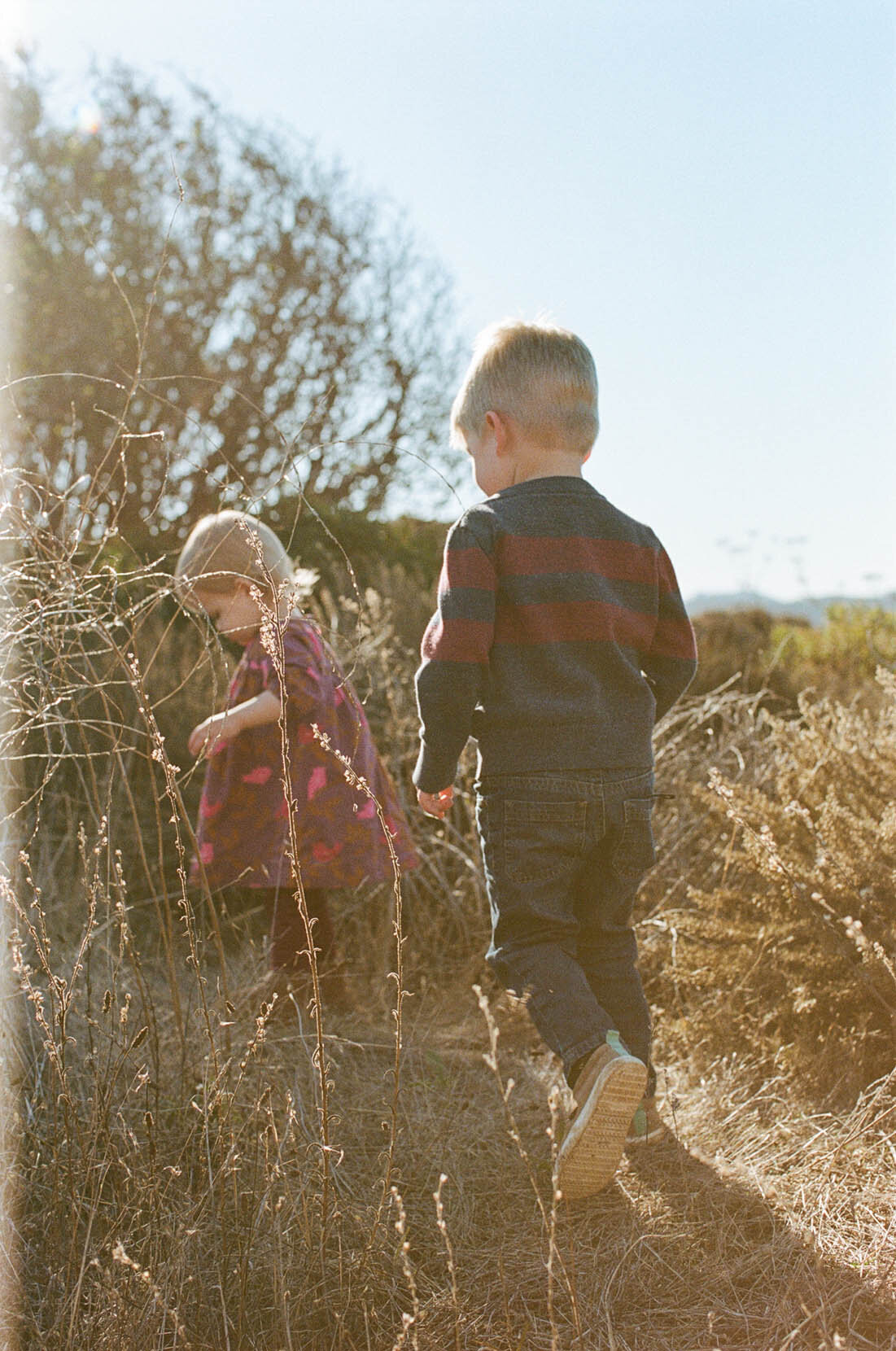 RobinWeirPhoto-2025-family-53