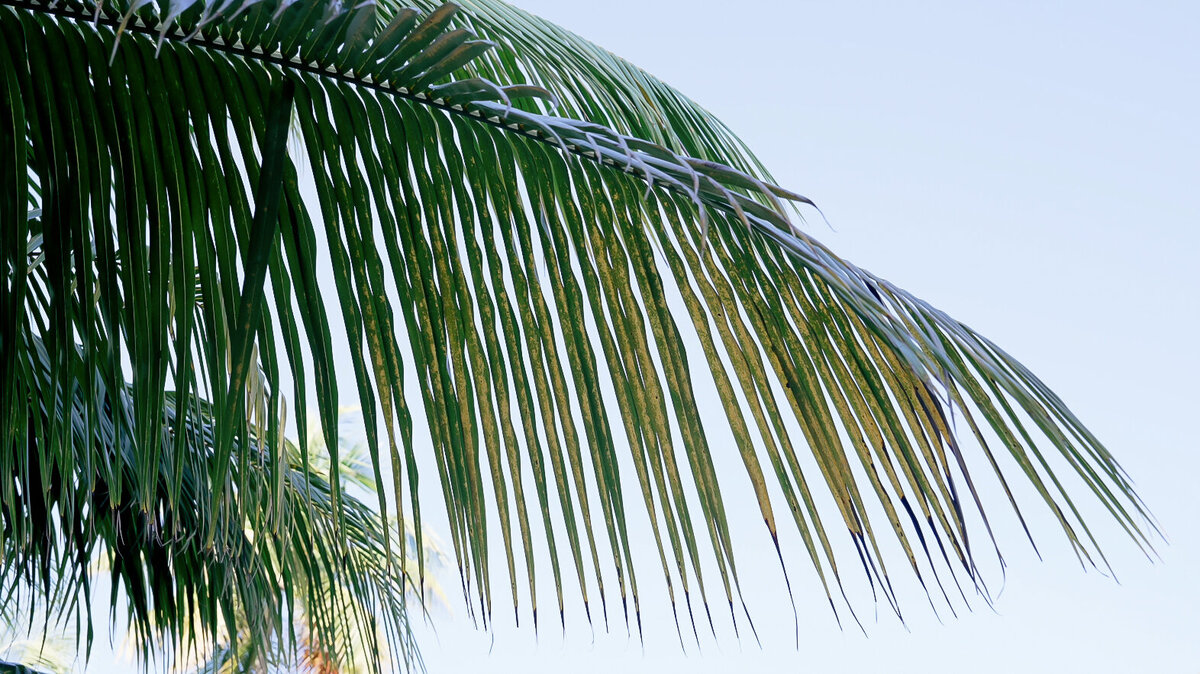 Carlie & Tristan Film Page Image 4