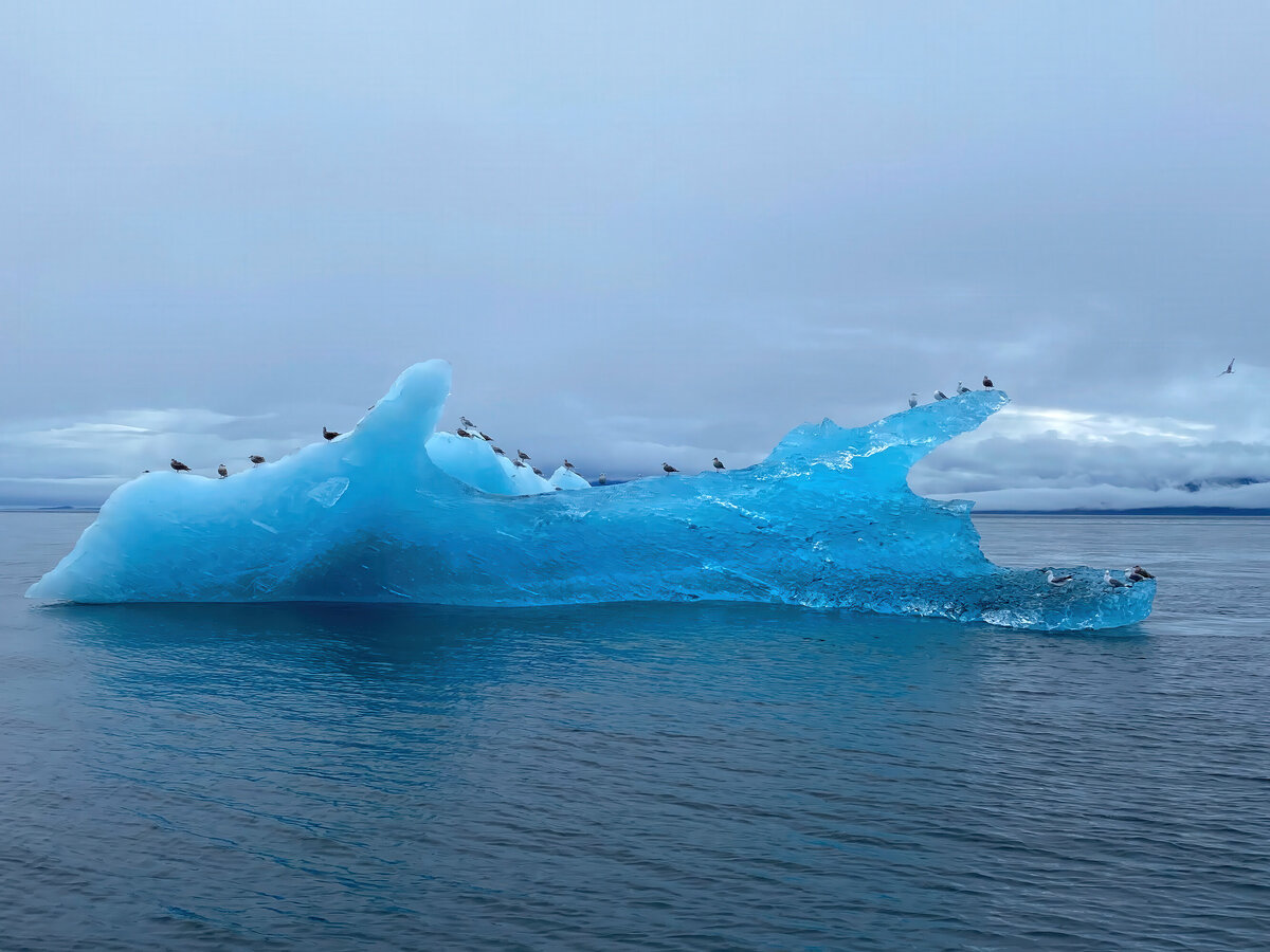 Iceberg