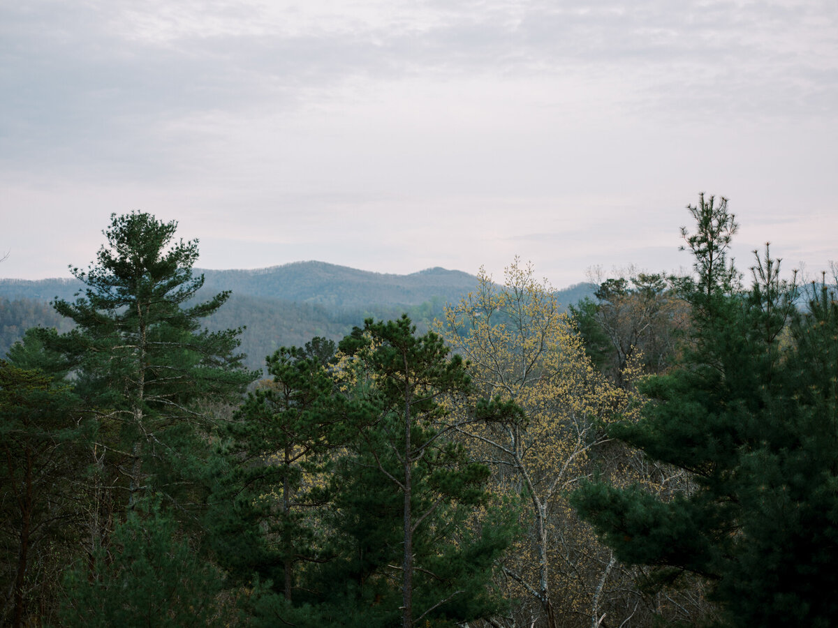 Micro Wedding in the Mountains Inspiration - The Olive Tree Weddings-02