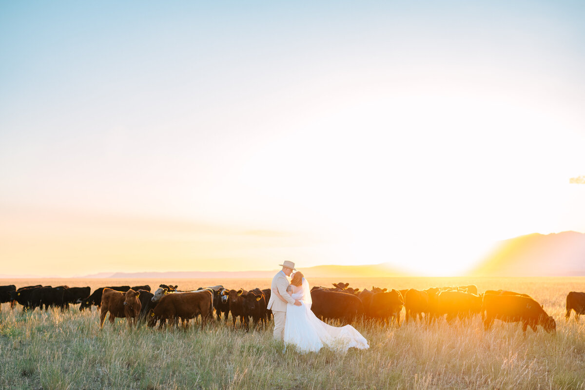 Montana Wedding Photographer - Ashley Dye- CassLee-9792
