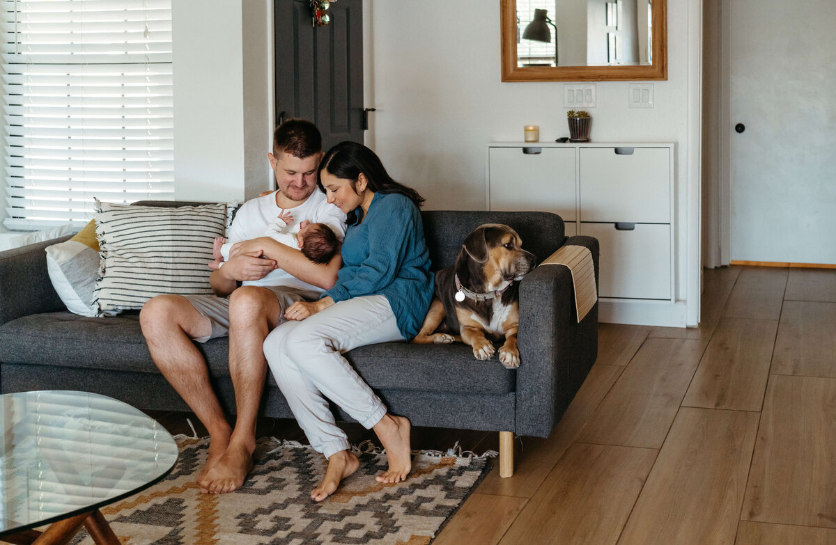 in-home-newborn-session-with-dogs