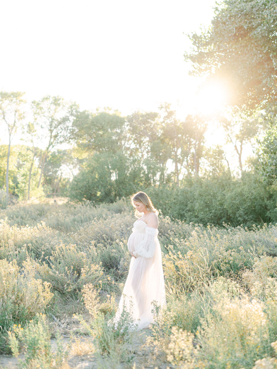 An expectant mother in a flowing gown, gently illuminated by the golden sun in a lush meadow, captured in an artful editorial style by Elizabeth Kane Photography—serving Philadelphia, New York, and DC.
