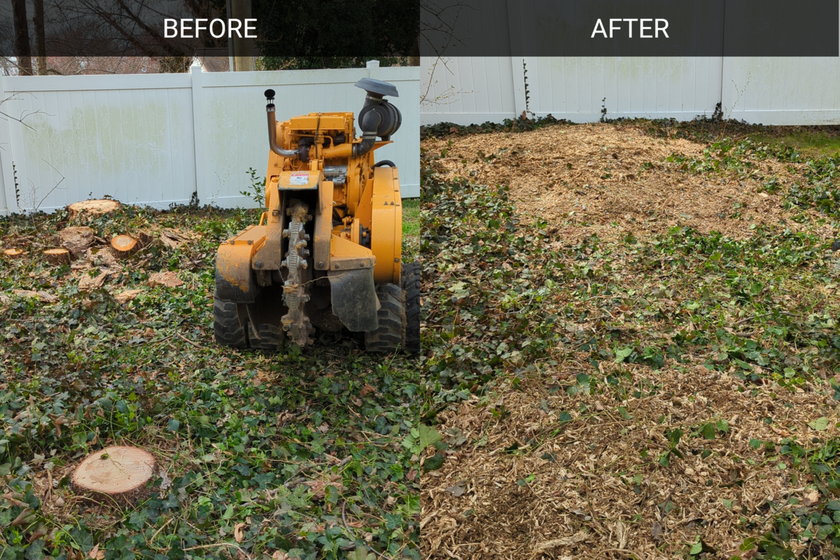 Stump Removal_P3-1