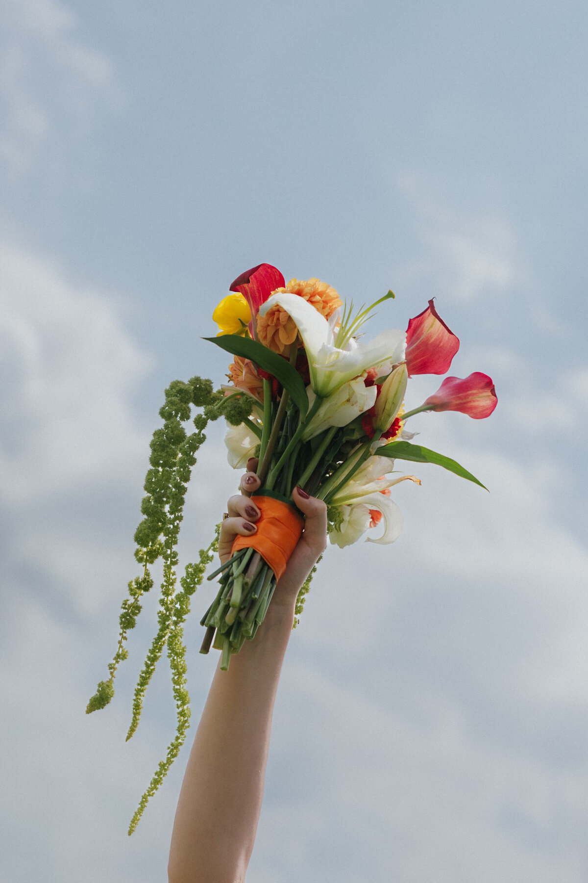 Abby Herron Photography Wedding Portfolio — Rachel and Jacob 68