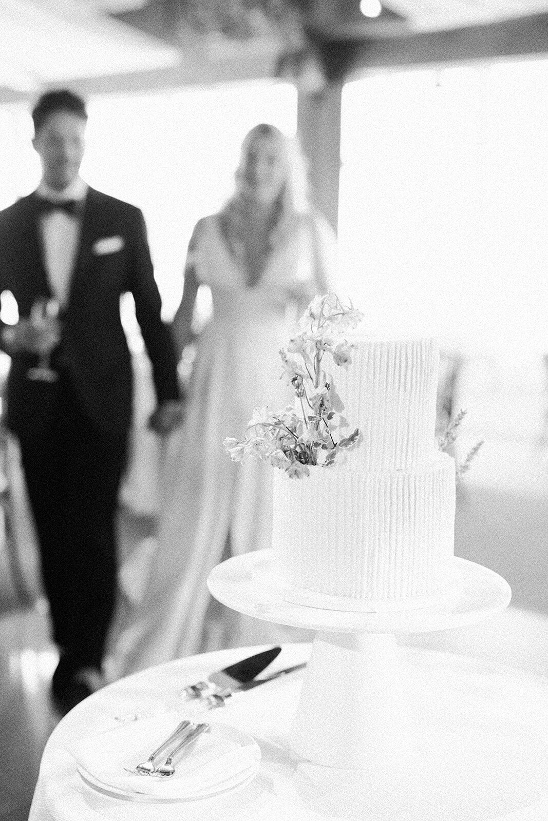 first-look-reception-wedding-cake-aspen-HBICWeddings