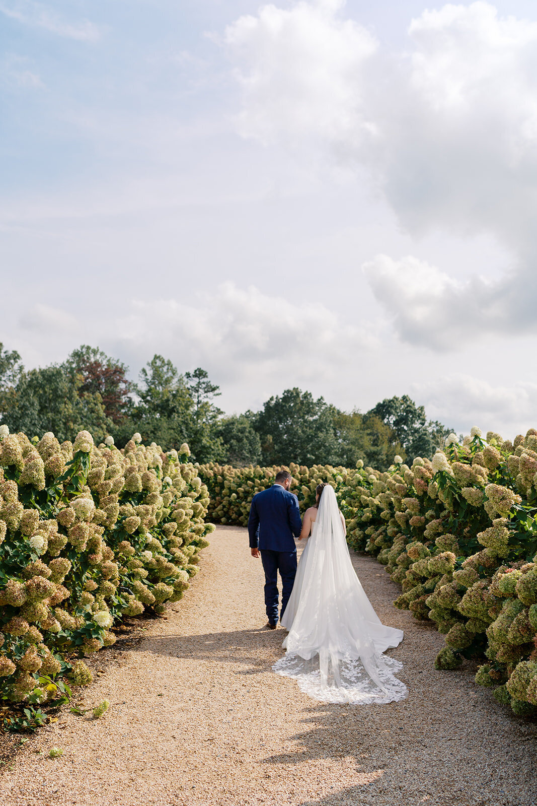 Pippin Hill Wedding Photographer_42