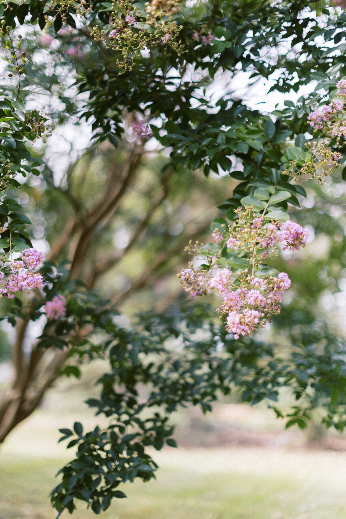 kontakosta-winery-long-island-wedding-photographer-301