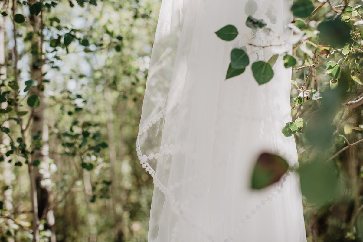 Photographers Jackson Hole capture wedding dress hanging in trees