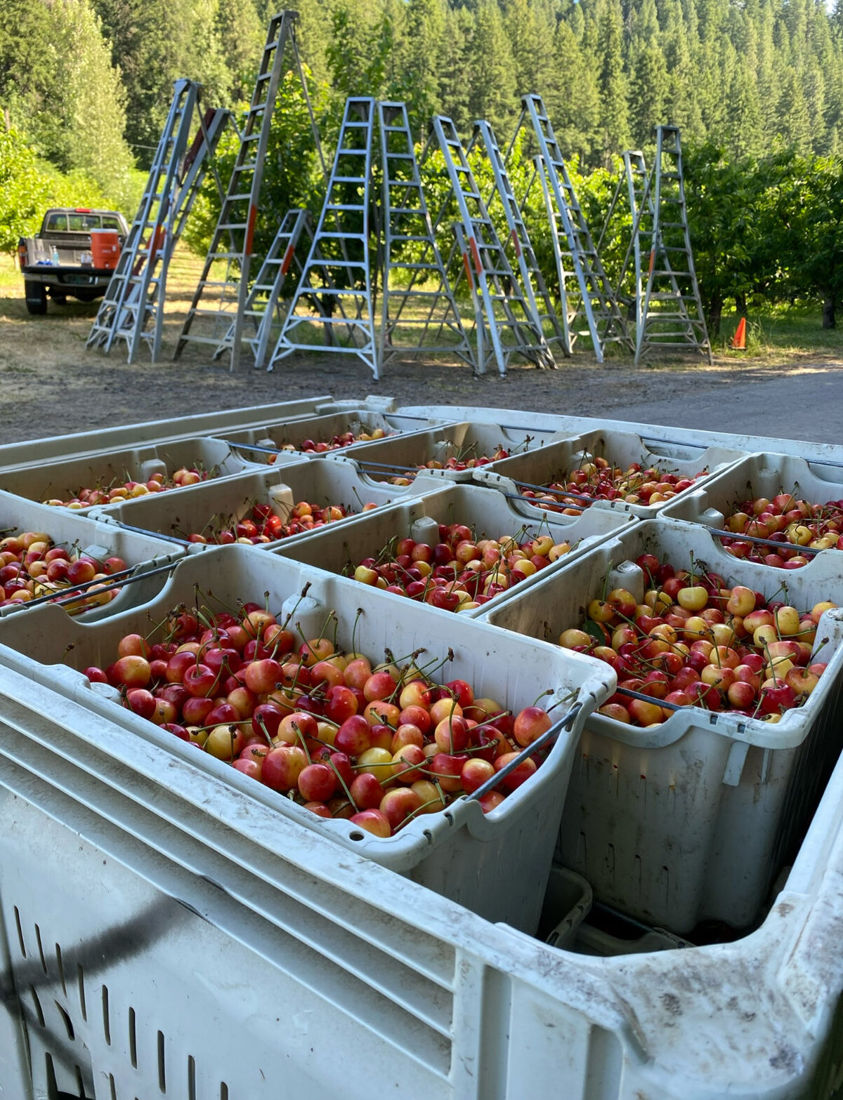 Heart Island Farm, LLC photo