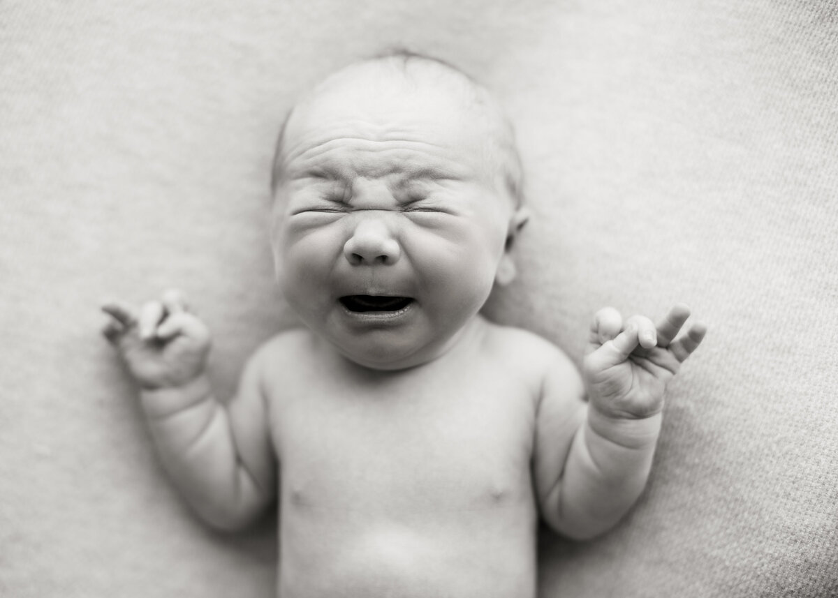 BlackandWhiteBabyPhotosColorado