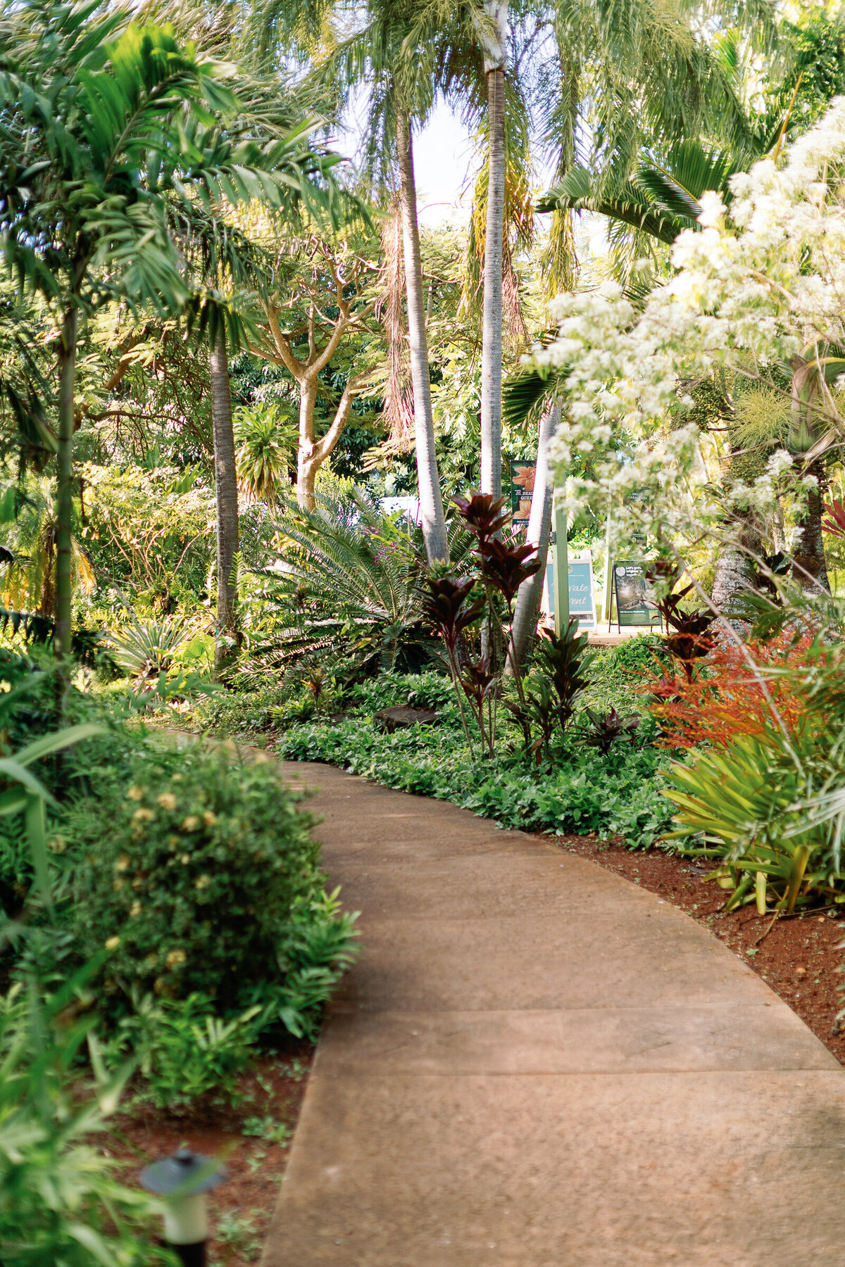 Top-Kauai-Wedding-Photographer-29